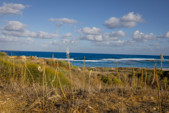 02-Dor-National-Park-Oct-1st-2025