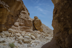 Landscape-2