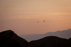 Landscape-7